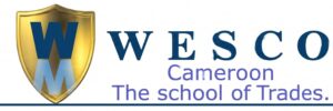 logo1